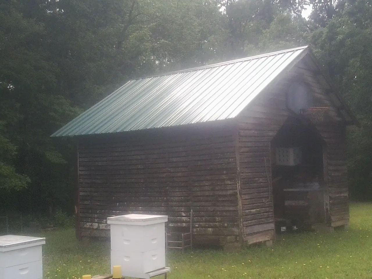 Green metal roof on a weathered barn beside stacked beehives in Remlap